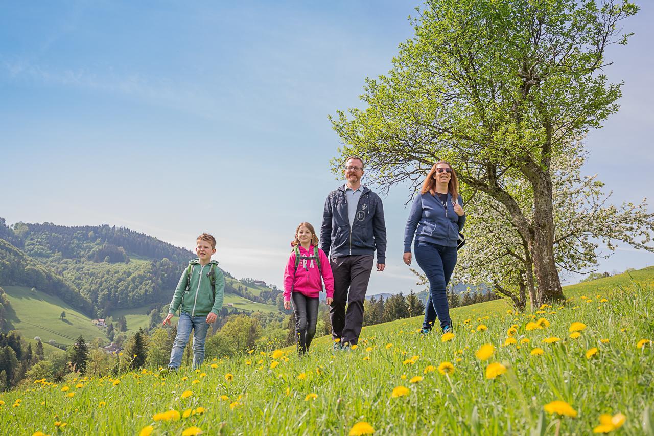 Ferienhof Pfaffenlehen Maria Neustift Bagian luar foto