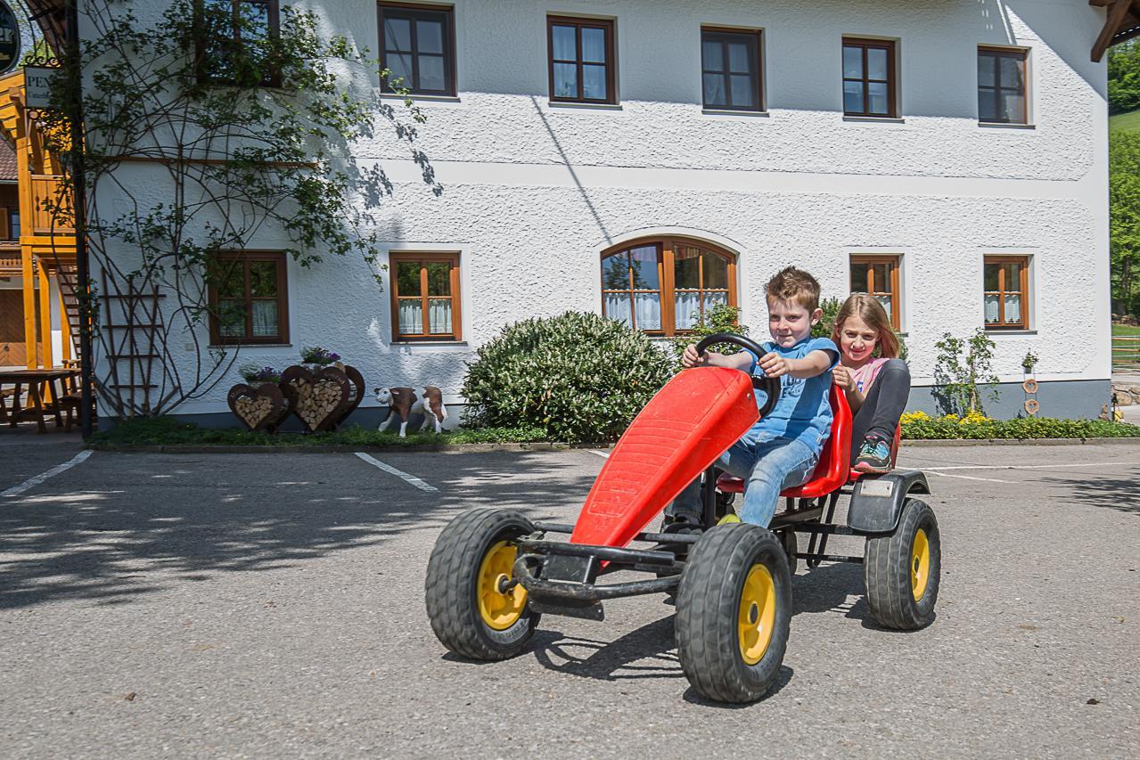 Ferienhof Pfaffenlehen Maria Neustift Bagian luar foto